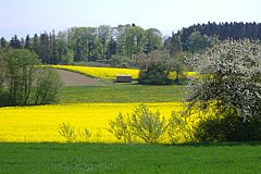 Landscape next to Lake Constance